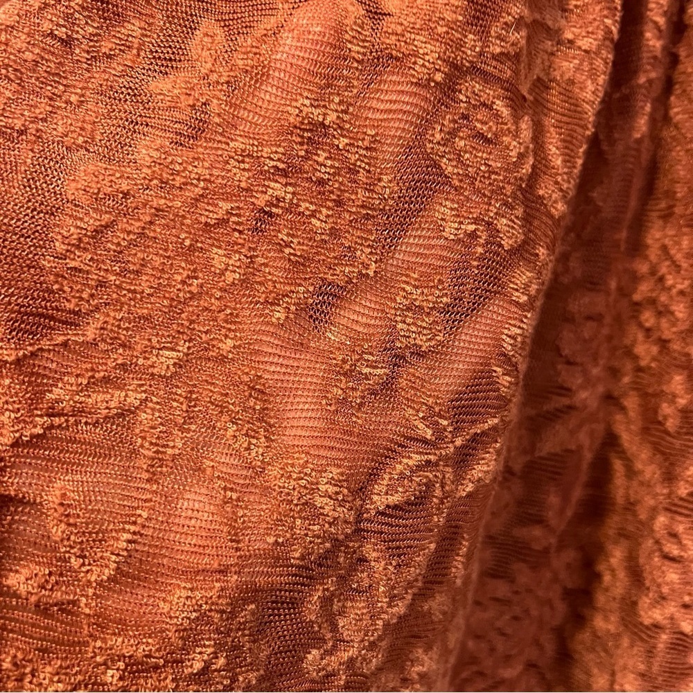 Deletta Anthropologie Rust Amana Burnout Sheer Smocked Mock Neck Top size small - Picture 6 of 13